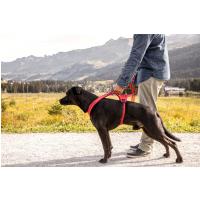 CURLI Postroj pre psov Belka Comfort Black XS, 15-20 kg