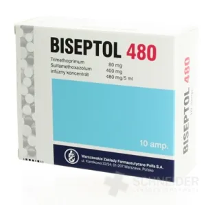 BISEPTOL 480