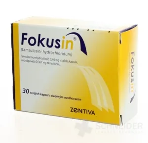 FOKUSIN