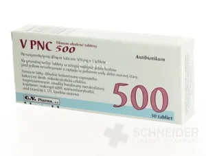 V PNC 500
