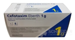 Cefotaxim Eberth 1 g