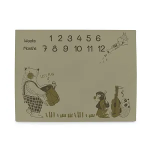 CEBA BABY Podložka míľniková na fotenie (92x72) Basic Band