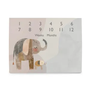 CEBA BABY Podložka míľniková na fotenie (92x72) Basic Elephant Family