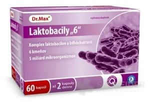 Dr.Max Laktobacily 6