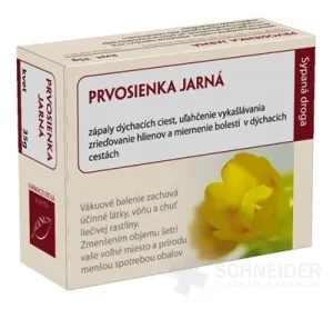 HANUS PRVOSIENKA JARNÁ KVET