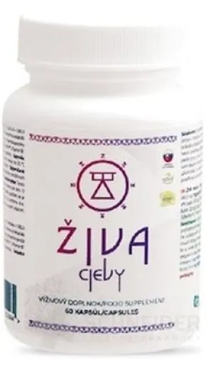 ŽIVA cievy