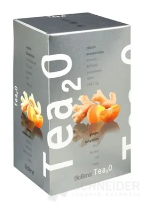 Biogena Tea2O Zázvor & Mandarínka