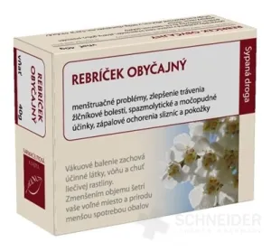 HANUS REBRÍČEK OBYČAJNÝ VŇAŤ