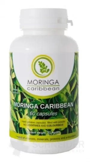 MORINGA Moringa Caribbean (standard)