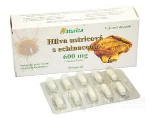 Naturica HLIVA USTRICOVÁ s echinaceou