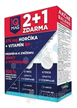 IQ MAG magnezium 375mg+B6 sumive tablety 3x20tbl