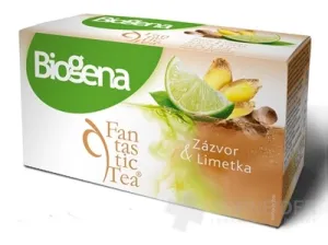 Biogena Fantastic Tea Zázvor & Limetka