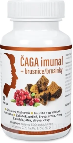 ČAGA imunal + brusnice