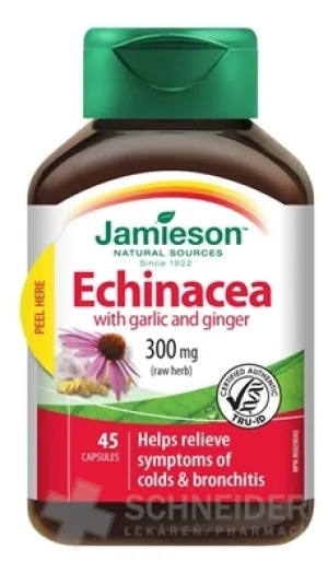 JAMIESON ECHINACEA S CESNAKOM A ZÁZVOROM