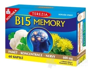 B15 MEMORY