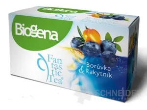 Biogena Fantastic Tea Čučoriedka & Rakytník