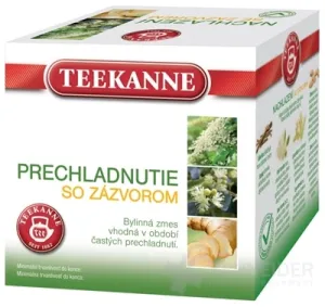 TEEKANNE PRECHLADNUTIE SO ZÁZVOROM - Dr.Max