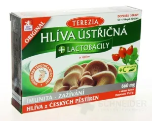Hliva ustricovitá + lactobacily so šípkami