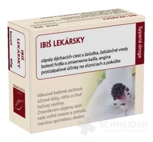 HANUS IBIŠ LEKÁRSKY KOREŇ