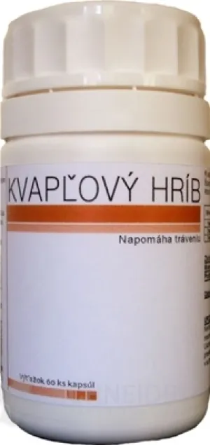 KVAPĽOVÝ HRÍB