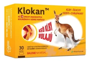 Klokan