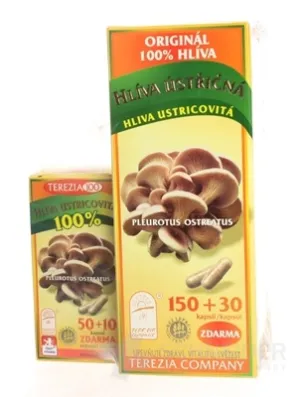 Hliva ustricovitá AKCIA 1+1 ZADARMO