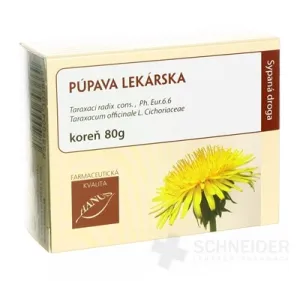 HANUS PÚPAVA LEKÁRSKA KOREŇ