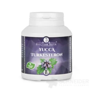 YUCCA TURKESTERON - doctor Sova
