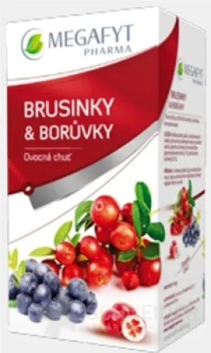 MEGAFYT BRUSNICE & ČUČORIEDKY
