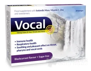 Vocal