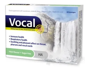 Vocal HA Pastilky bez cukru s príchuťou mäty 24ks