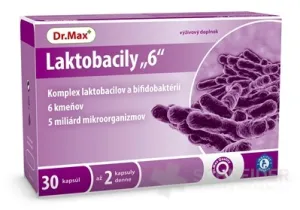 Dr.Max Laktobacily 6