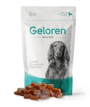 Geloren Small DOG
