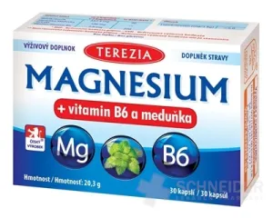 TEREZIA MAGNESIUM + vitamin B6 a meduňka