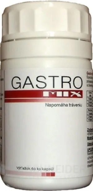 GASTRO MIX