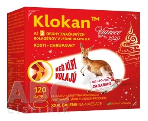 Klokan