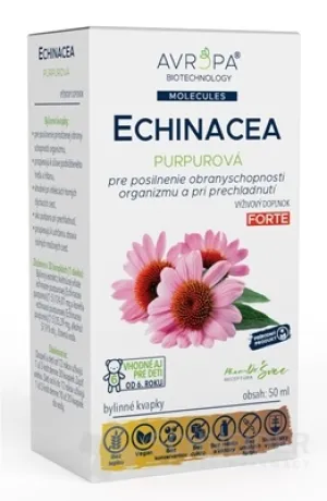 AVROPA Echinacea purpurová