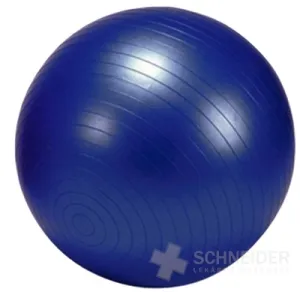 GYMY OVER BALL REHABILITAČNÁ LOPTA 25 cm