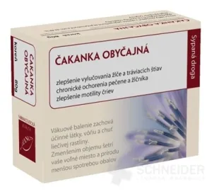 HANUS ČAKANKA OBYČAJNÁ KOREŇ