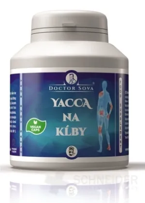 YACCA NA KĹBY - doctor sova