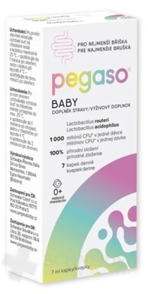 pegaso BABY