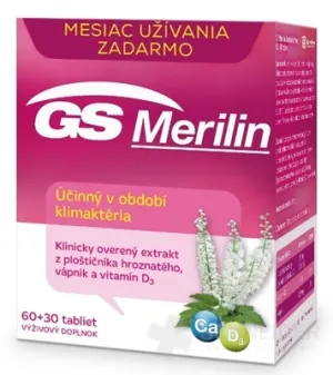 GS Merilin