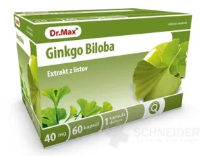 Dr.Max Ginkgo Biloba (Nové) 40 mg
