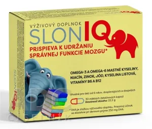 SlonIQ 30 ks
