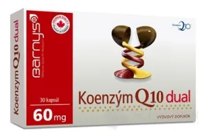 BARNY'S Koenzým Q10 dual 60 mg