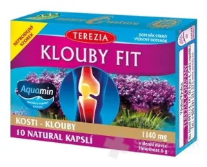 TEREZIA KĹBY FIT