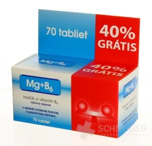 NP PHARMA MG + B6  40% grátis