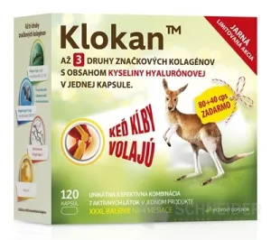 Klokan Jarná edícia