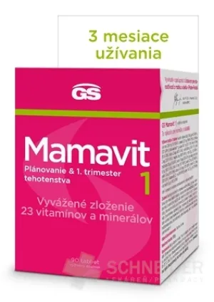 GS Mamavit 1, Plánovanie a 1. trimester