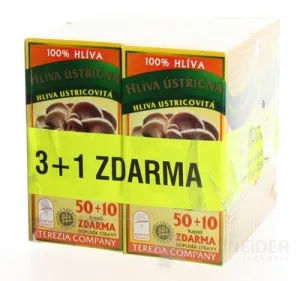 Hliva ustricovitá AKCIA 3+1 ZADARMO